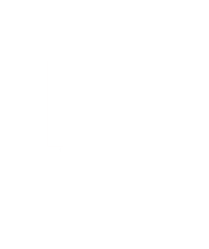 FlyFusion